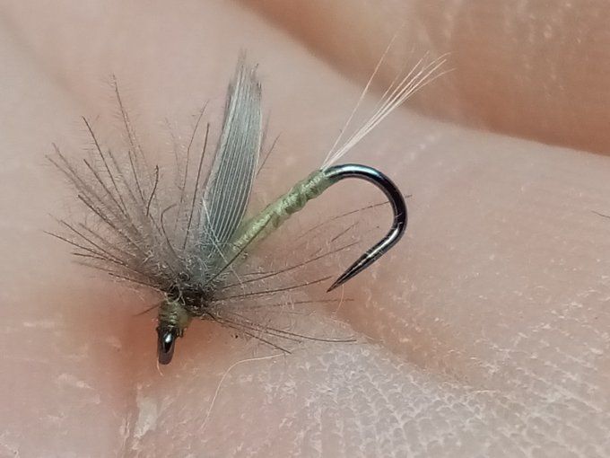 Mouche d'ornans