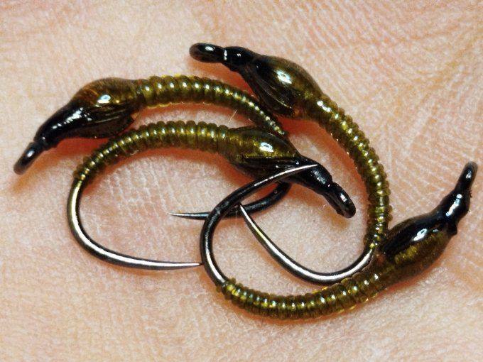 Chiro  olive