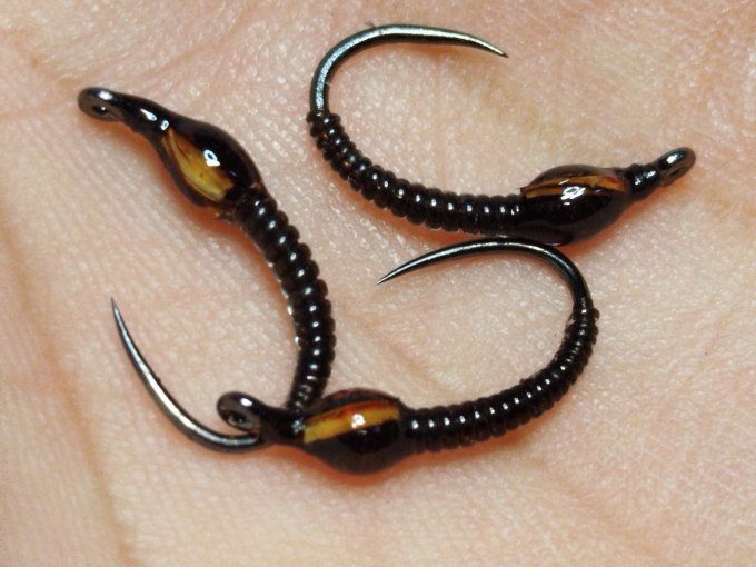 Chiro dark Brown 