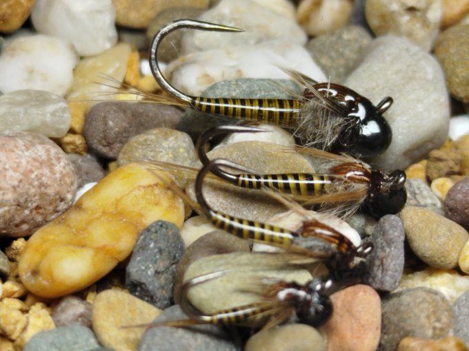Nymphe de baetidé olive  jig off