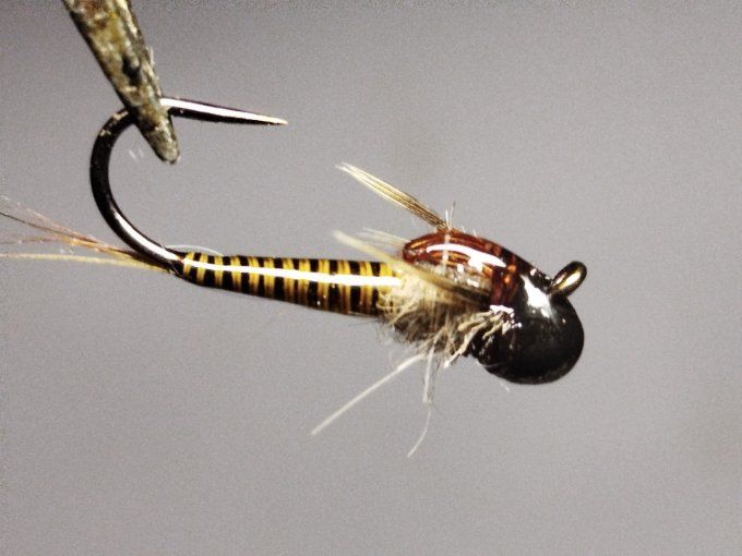 Nymphe de baetidé olive  jig off