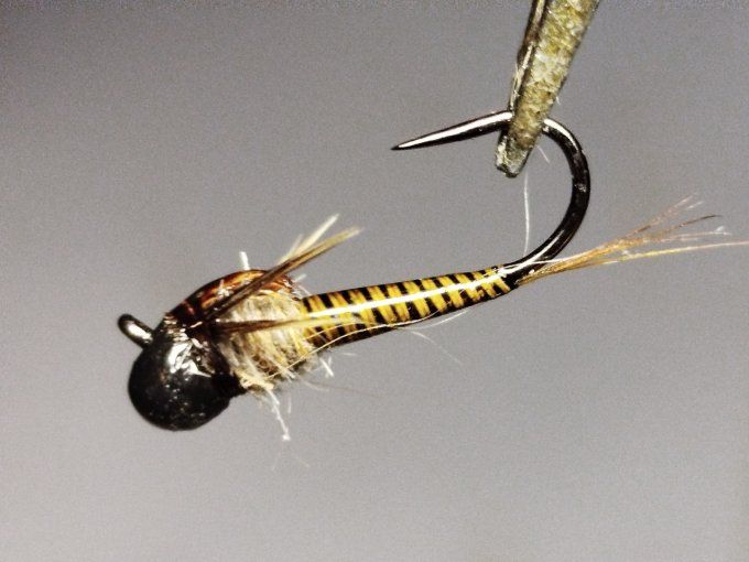 Nymphe de baetidé olive  jig off