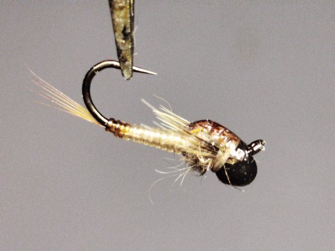 Nymphe de baetidé tan jig off