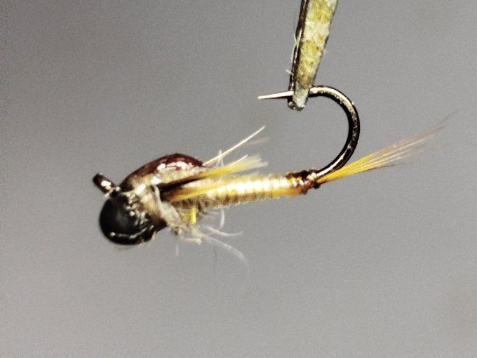 Nymphe de baetidé tan jig off