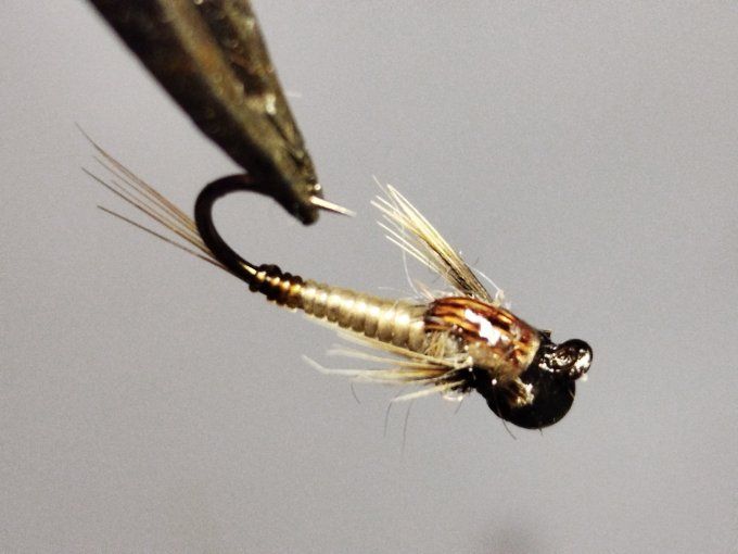 Nymphe de baetidé tan jig off