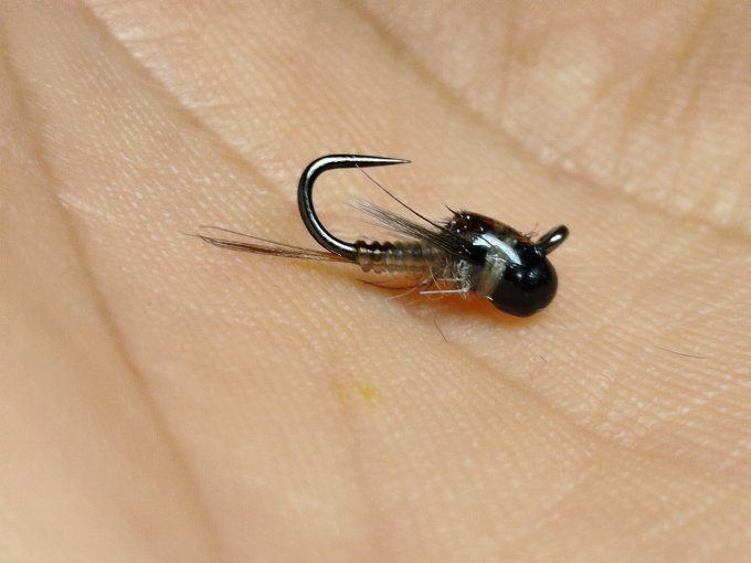 Nymphe de baetidé tan jig off